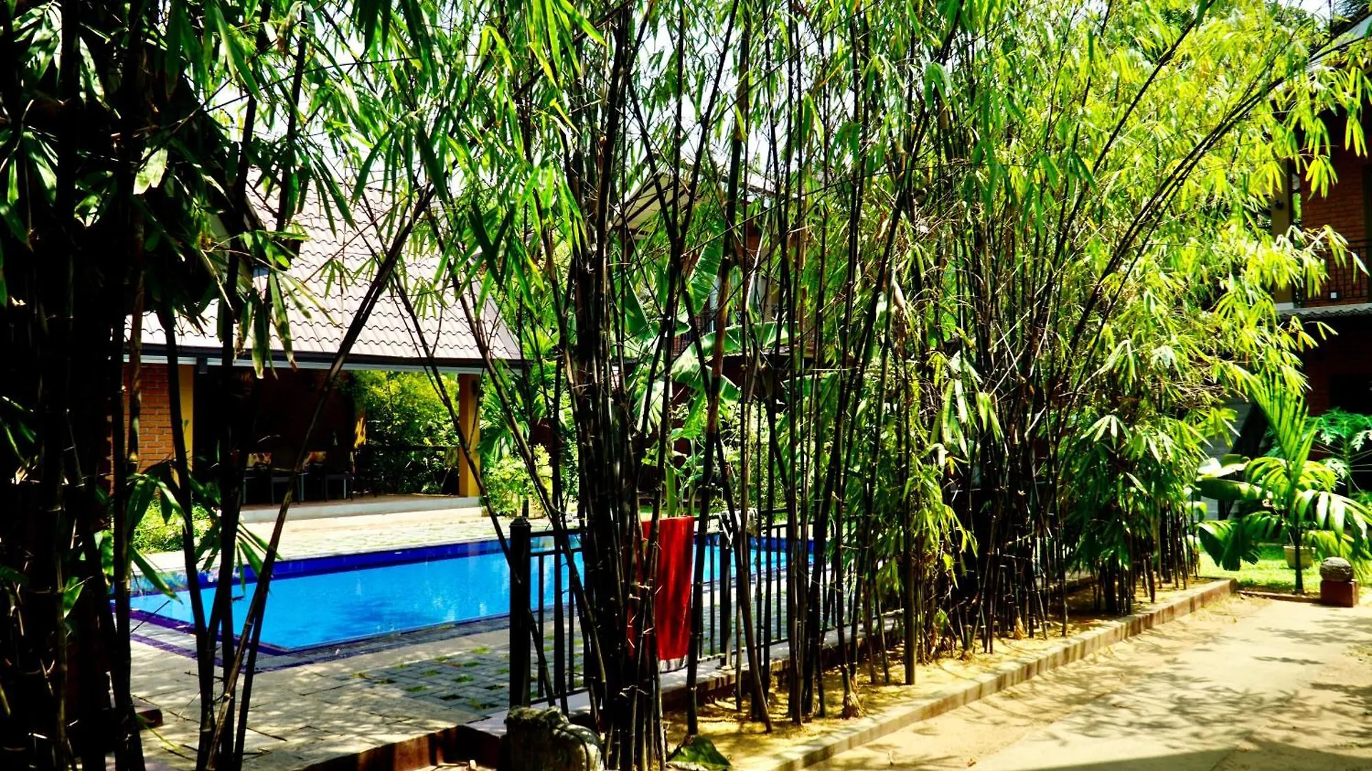 Hotel Millet'S Food Company And Cooking Center Negombo